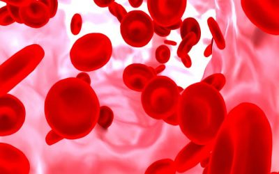 Sangue cordonale, al Cns il gruppo di lavoro per le trasfusioni nei neonati pretermine Sangue cordonale, al Cns il gruppo di lavoro per le trasfusioni nei neonati pretermine